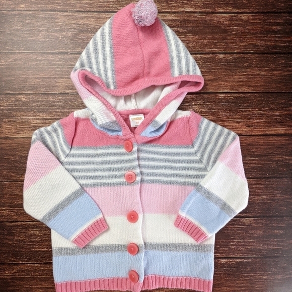 Gymboree Other - GYMBOREE Winter Stripe Sweater Hoodie Jacket